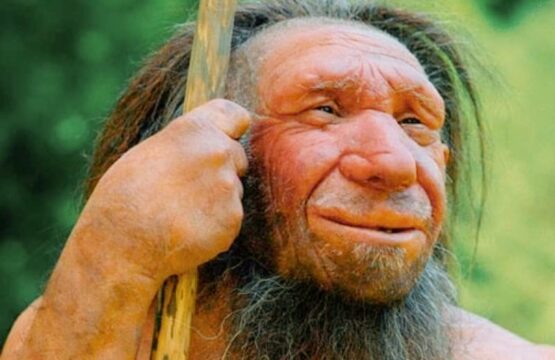 uomo-di-neanderthal_