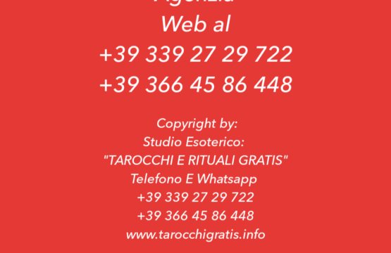 agenzia_web_al_3392729722_3664586448_